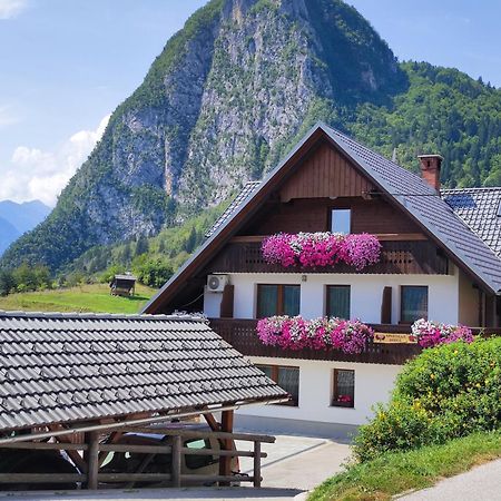 Apartmaji Mojca Bohinj Zewnętrze zdjęcie