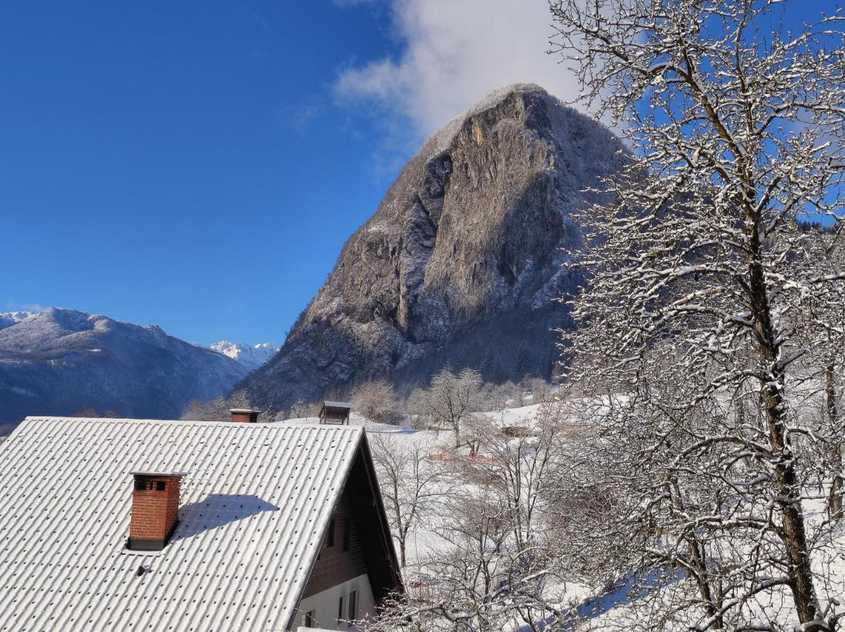 Apartmaji Mojca Bohinj Zewnętrze zdjęcie