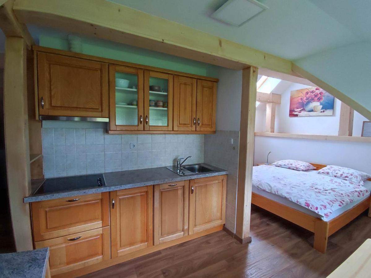 Apartmaji Mojca Bohinj Zewnętrze zdjęcie