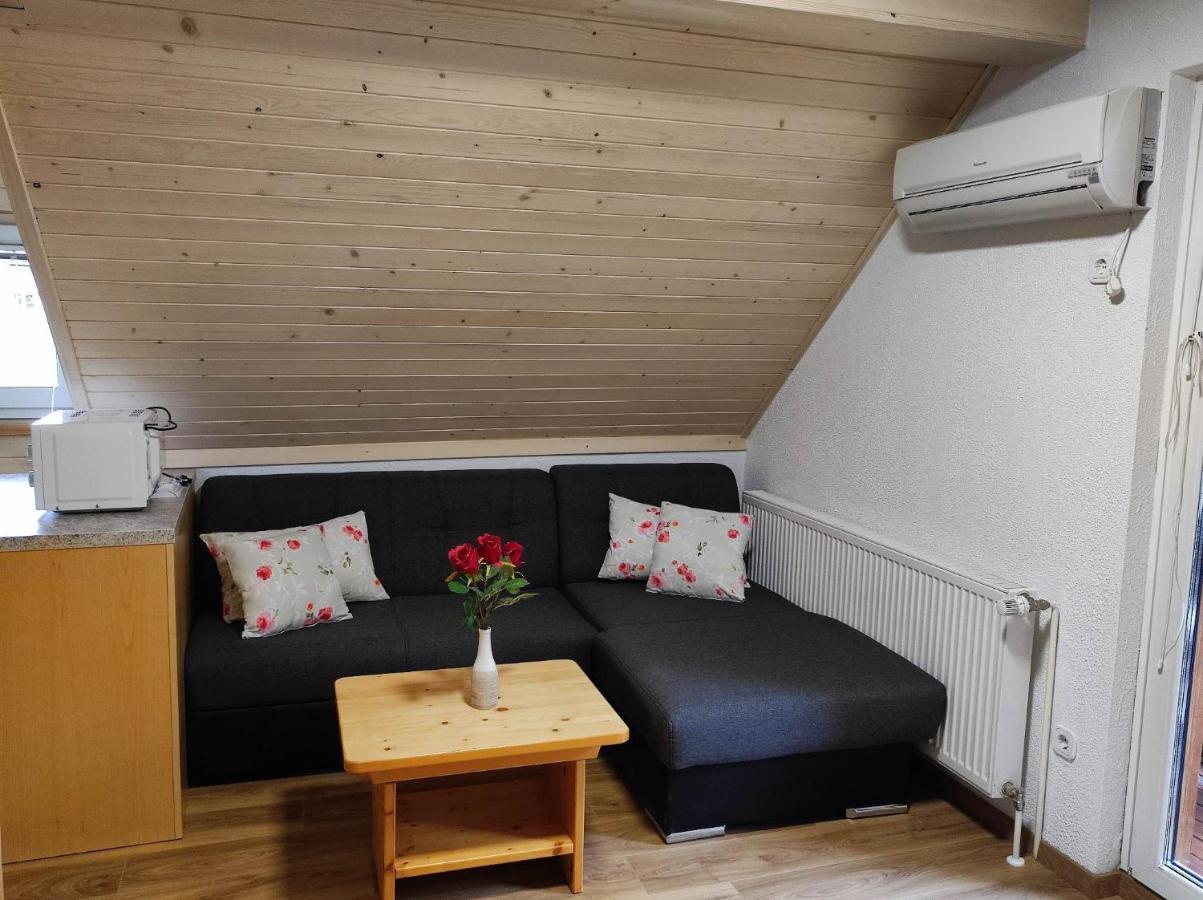 Apartmaji Mojca Bohinj Zewnętrze zdjęcie