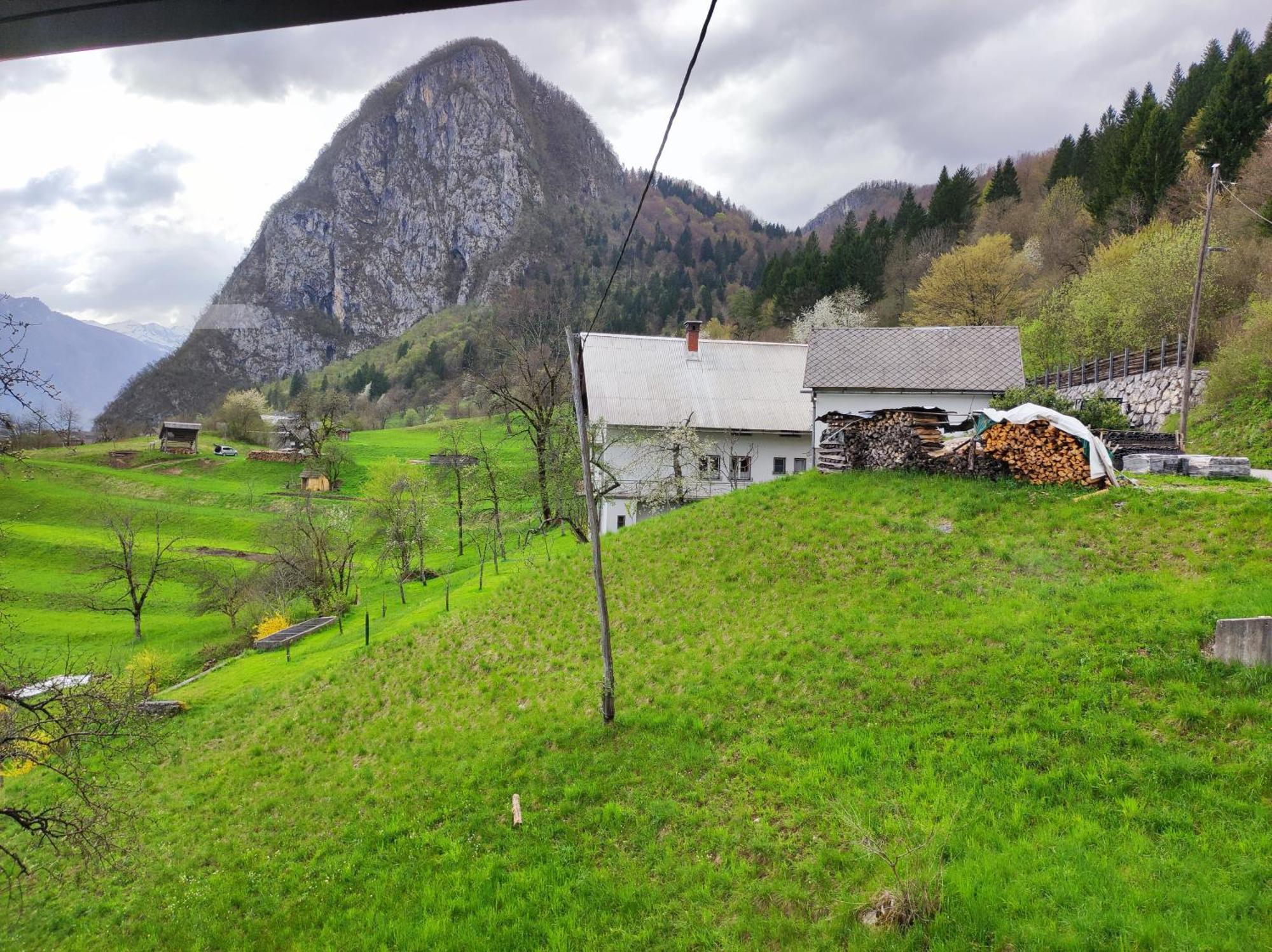 Apartmaji Mojca Bohinj Zewnętrze zdjęcie